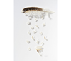 Chris Maynard feather art